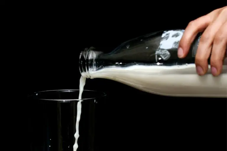 우유가 안좋은 이유 6가지와 부작용