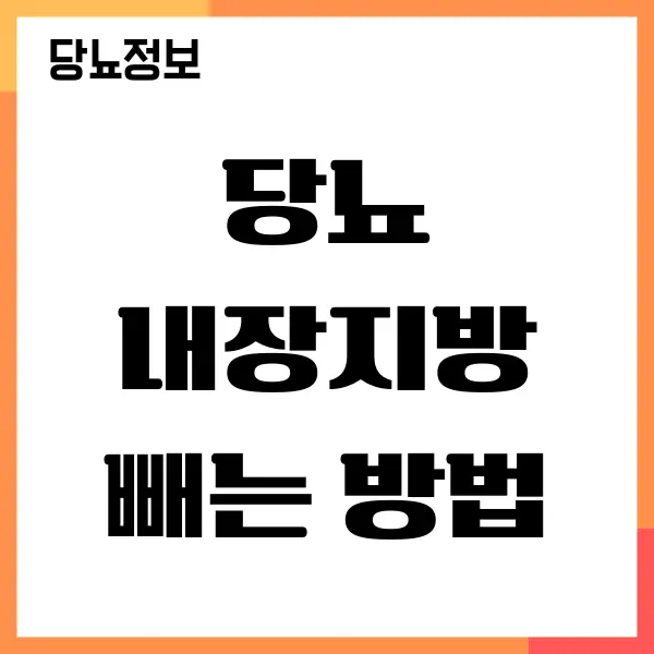 당뇨 내장지방 빼는 법, 뱃살 쉽게 빼기