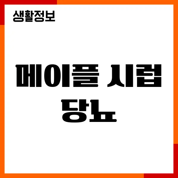 메이플 시럽 당뇨에 좋을까요 혈당 지수, 섭취방법