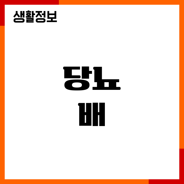 당뇨 배 먹어도 될까 혈당 영향, 섭취량, 주의할 점