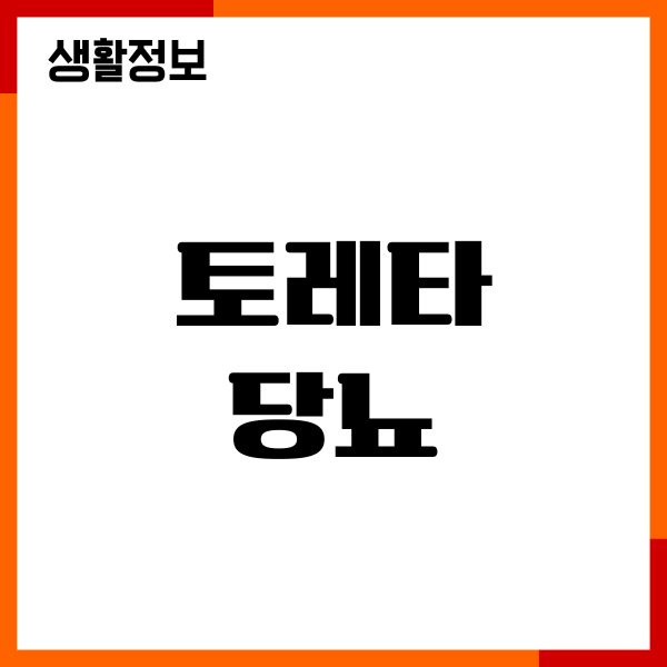 토레타 당뇨 괜찮을까 혈당 영향, 장점 단점 총정리
