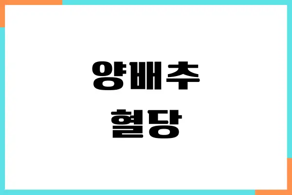 양배추 혈당에 좋을까요 제가 당뇨 관리를 하면서 느낀 점들