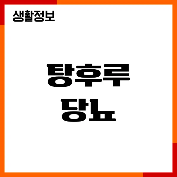 탕후루 당뇨 걱정 없이 먹으려고 했던 나의 실패기