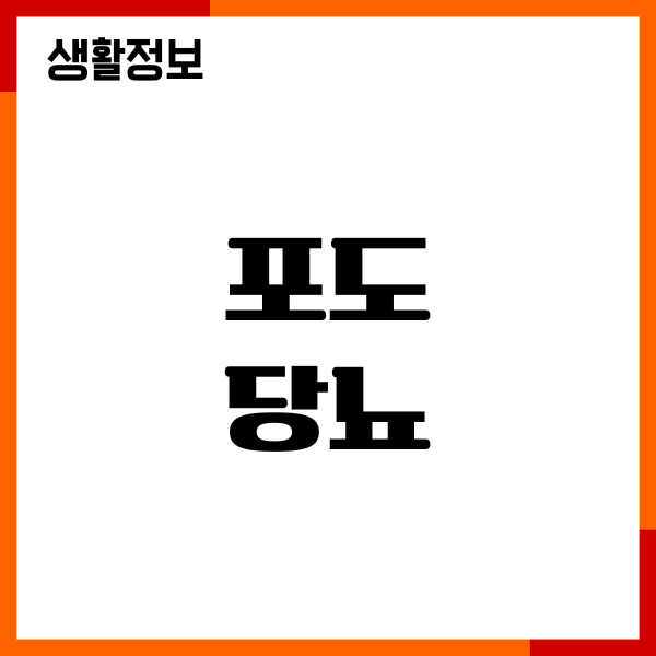 포도와 당뇨 먹어도 될까요 혈당 지수, 섭취량, 주의사항