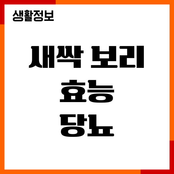 새싹 보리 효능 당뇨에 좋을까요 부작용, 주의사항