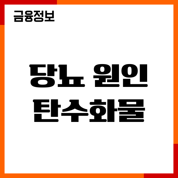 당뇨 원인 탄수화물 일까요 당뇨 이유, 혈당 관리