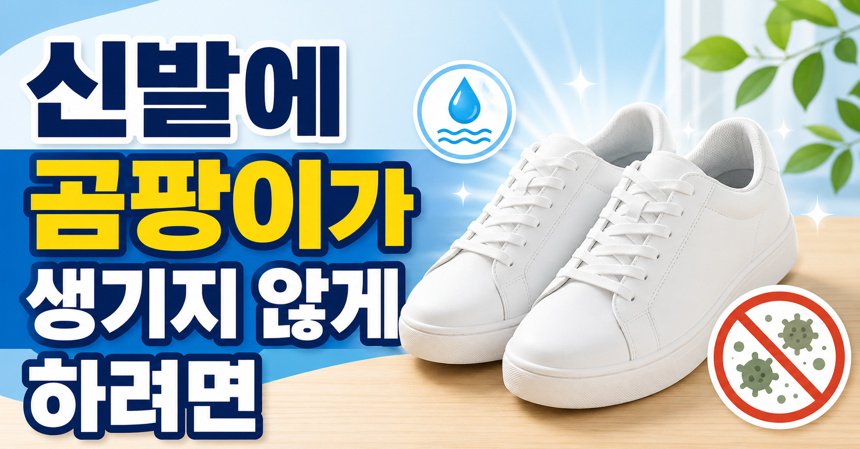 신발에 곰팡이가 생기지 않게 하려면 어떻게 할까요